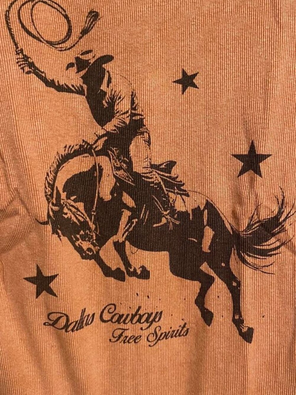 Vintage INSPO Cowboy, Country, Ranch, Graphic Tee, Ribbed Top, Y2K, Rustic, - Picture 2 of 3